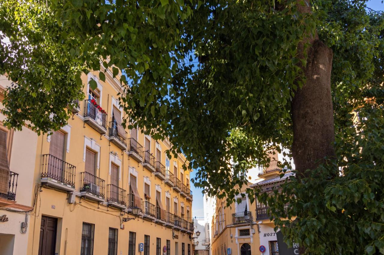 Nine O Clock San Agustin Daire Sevilla Dış mekan fotoğraf